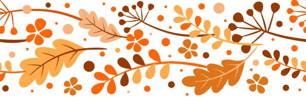 FallDivider